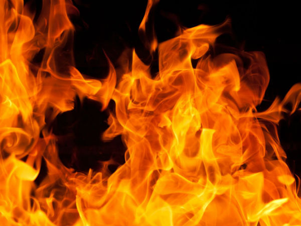 Surat: Man burns 4 pigs, says daughters died in fire, claims insurance Surat: Man burns 4 pigs, says daughters died in fire, claims insurance