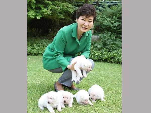 Outrage after ousted South Korea leader leaves dogs at presidential palace Outrage after ousted South Korea leader leaves dogs at presidential palace