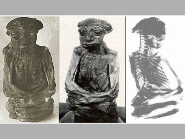 The Little People of Wyoming and the Pedro Mountains Mummy The Little People of Wyoming and the Pedro Mountains Mummy