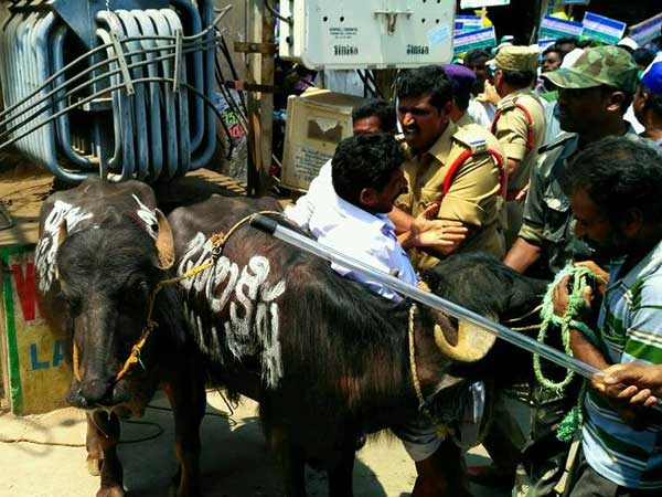 For water, women variety agitation against Balakrishna For water, women variety agitation against Balakrishna