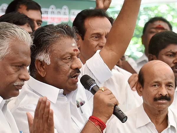 అమ్మ అభిమానులు మనమే