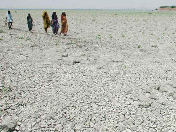 Drought triggers large scale migration from Anantapur Drought triggers large scale migration from Anantapur