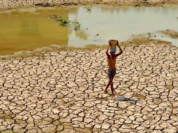Telangana had faces severe drought in 2016 Telangana had faces severe drought in 2016