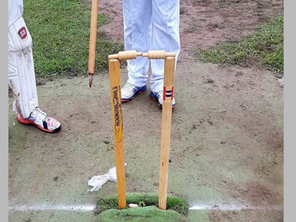 cricket cricket
