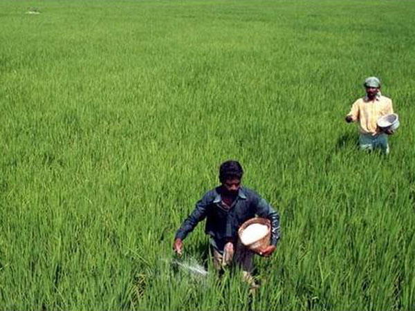 అప్పు తెచ్చి విత్తనాలు వేస్తున్నామన్న రైతులు