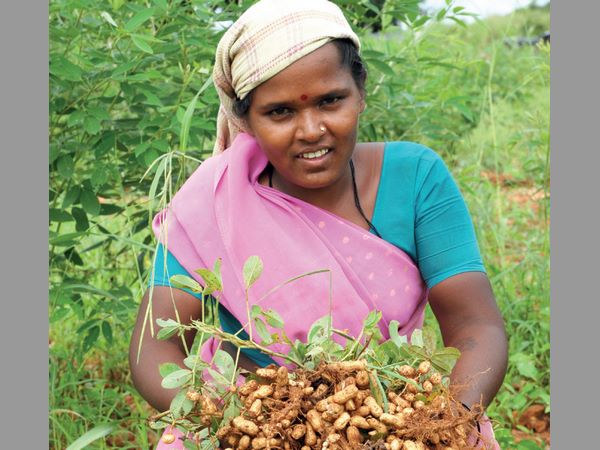 ఆరు లక్షల మందికిపైగా బీమా అర్హులు