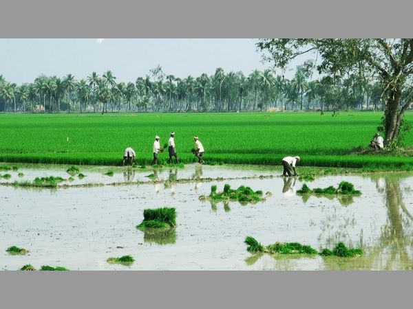 బీమా, పంటల రాయితీ పొందేందుకు రైతులు అర్హులే