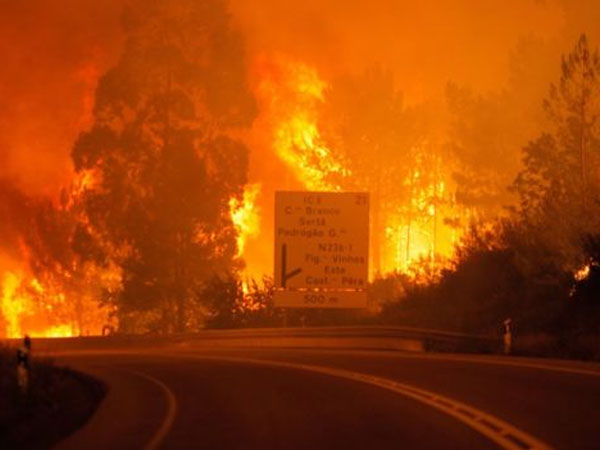 Portugal forest fires kill 57 near Coimbra Portugal forest fires kill 57 near Coimbra