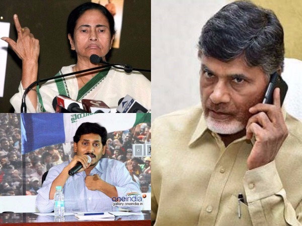 Mamata Banerjee answer to Chandrababu Naidu over NDA presidential candidate Mamata Banerjee answer to Chandrababu Naidu over NDA presidential candidate