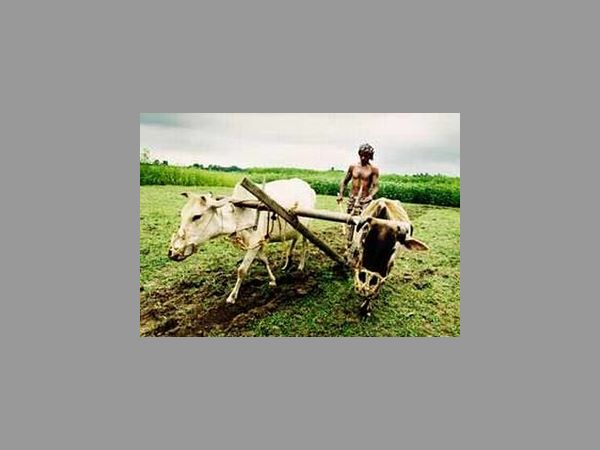 ధరలు పడిపోతాయని ఆందోళన
