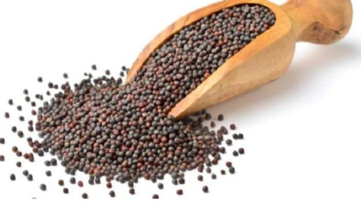 Mustard Benefits ఆవాలే కదా ని తీసుపారేయకండి.. ఎందుకంటే.. Mustard