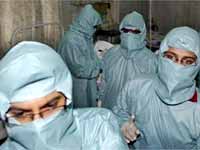 Swine Flu Swine Flu