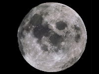 Moon Moon