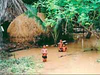 Repalle Repalle