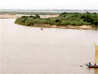 Godavari River Godavari River
