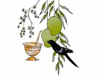 Ugadi Ugadi
