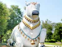 Mahanandi Mahanandi