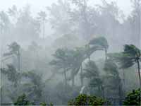 Heavy Rains Heavy Rains