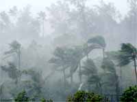 Heavy Rains Heavy Rains