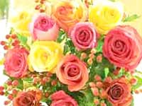 Flowers Flowers
