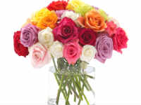 Oneindia Flowers Oneindia Flowers