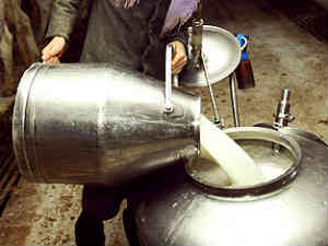 Raw Milk Raw Milk