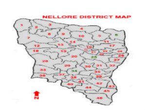 Nellore Map Nellore Map