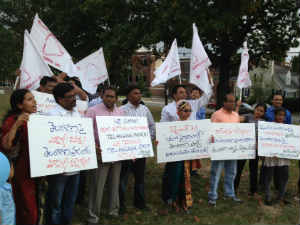 Telangana NRIs march in USA in support of September 30th Telangana March Telangana NRIs march in USA in support of September 30th Telangana March