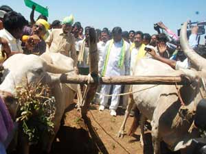 Chandrababu Naidu Chandrababu Naidu