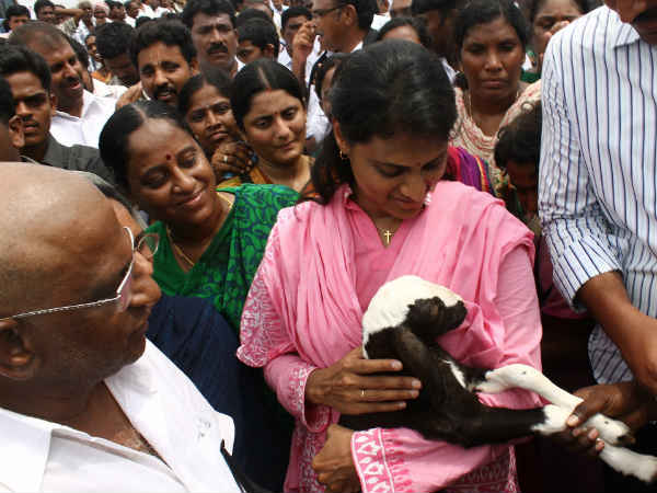 ప్లకార్డ్: జగన్ ఫ్యామిలీకి 'తెలంగాణ' దెబ్బ, వీరికీ