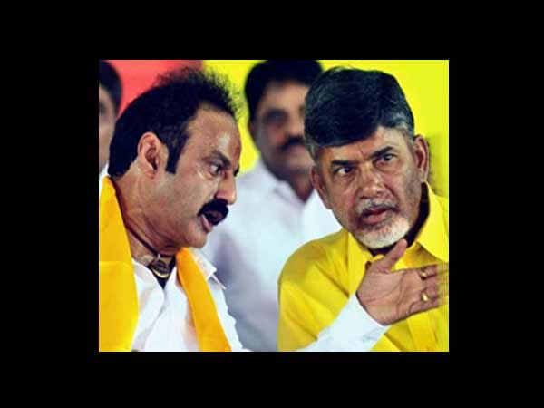 కోల్డ్వార్: హరికృష్ణ వర్సెస్ బాలకృష్ణ