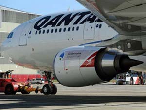Python clings to Qantas wing on two hour flight Python clings to Qantas wing on two hour flight