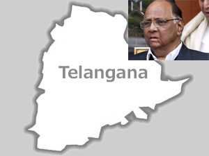 Telangana-Sharad Pawar Telangana-Sharad Pawar