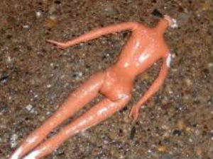 Man beheads sister, lands in PS with head Man beheads sister, lands in PS with head
