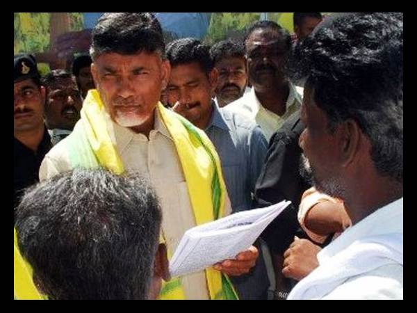 'నందమూరి' గందరగోళం(పిక్చర్స్)