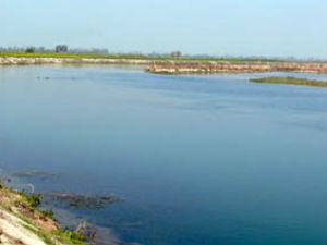Devotee disappears in Godavari river Devotee disappears in Godavari river