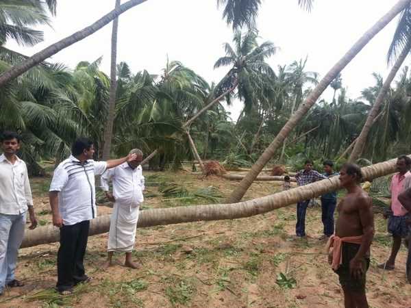 ఫైలిన్ 3