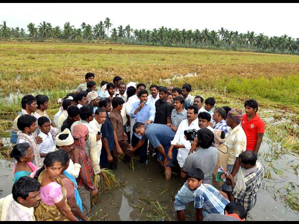 YS Jagan West Godavari tour turns controversial YS Jagan West Godavari tour turns controversial