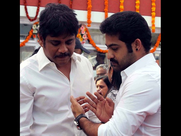 జూ. ఎన్టీఆర్ ఓదార్పు మాటలు..