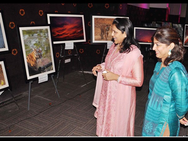 ఐ యామ్ ఏ లేడీ