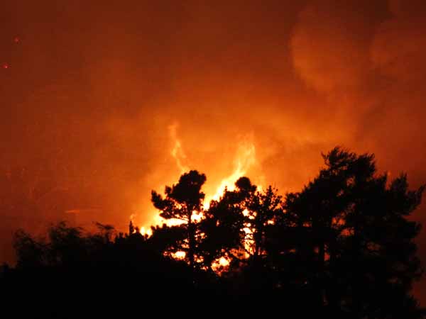 14 killed, 15 injured in gas pipeline blast 14 killed, 15 injured in gas pipeline blast