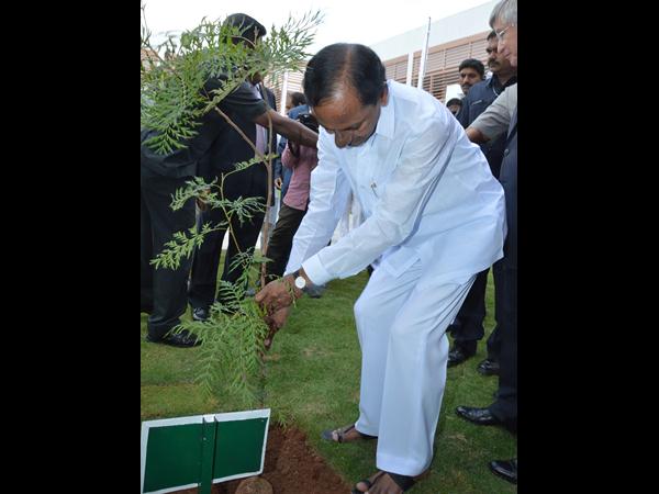 మొక్కను నాటి నీళ్లు పోశారు..