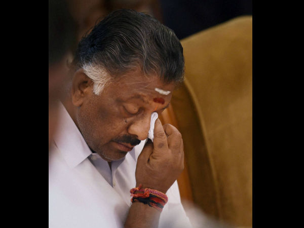 పన్నీరు సెల్వం