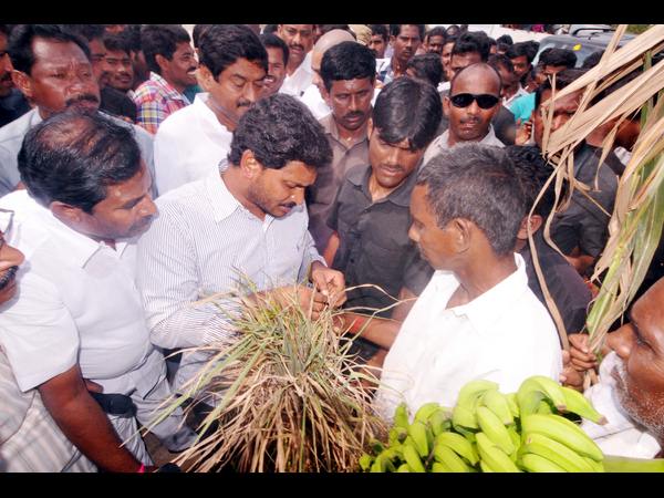 వైయస్ జగన్