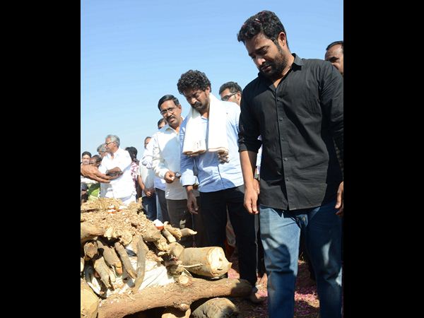 జూ.ఎన్టీఆర్