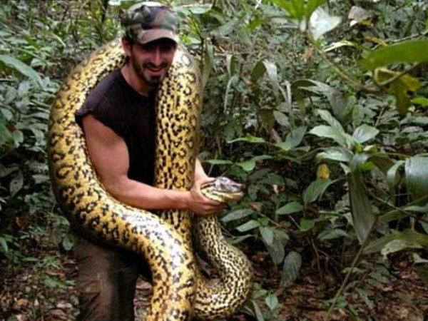 US naturalist Paul Rosolie swallowed alive by anaconda for TV show US naturalist Paul Rosolie swallowed alive by anaconda for TV show