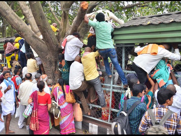 తిరుమల్లో రద్దీ భక్తులకు గాయాలు