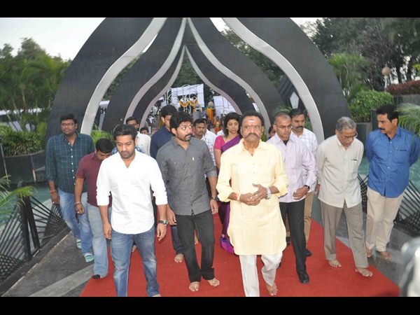హరికృష్ణ కుటుంబ సభ్యులు