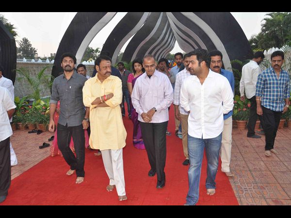 హరి, జూనియర్