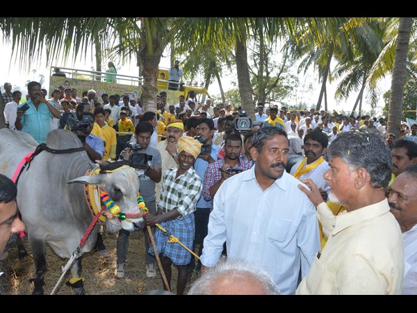 చంద్రబాబు